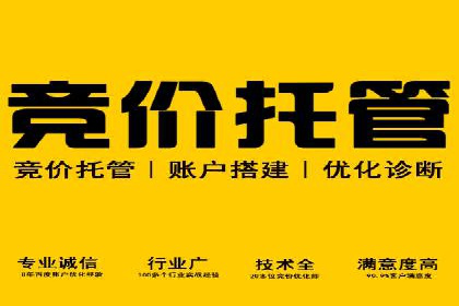 案例分享：SEO与SEM优化效果对比
